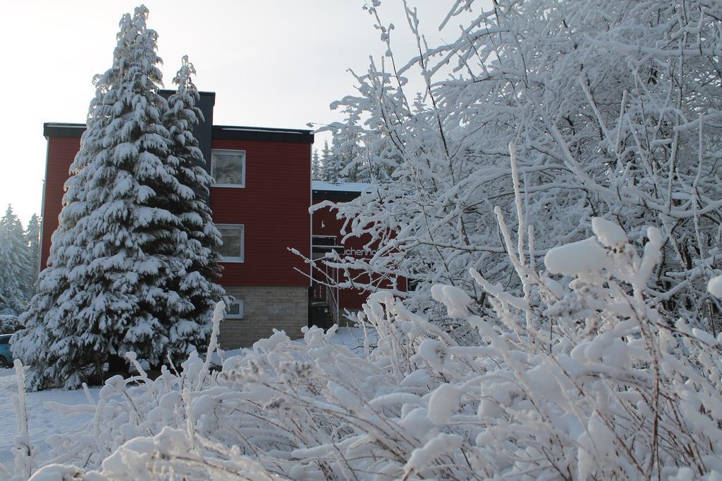 Der Buchenhof Apartment Braunlage Bagian luar foto